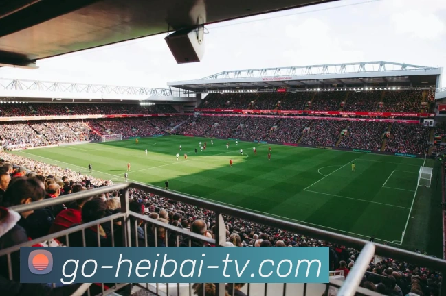 多媒体互动体验